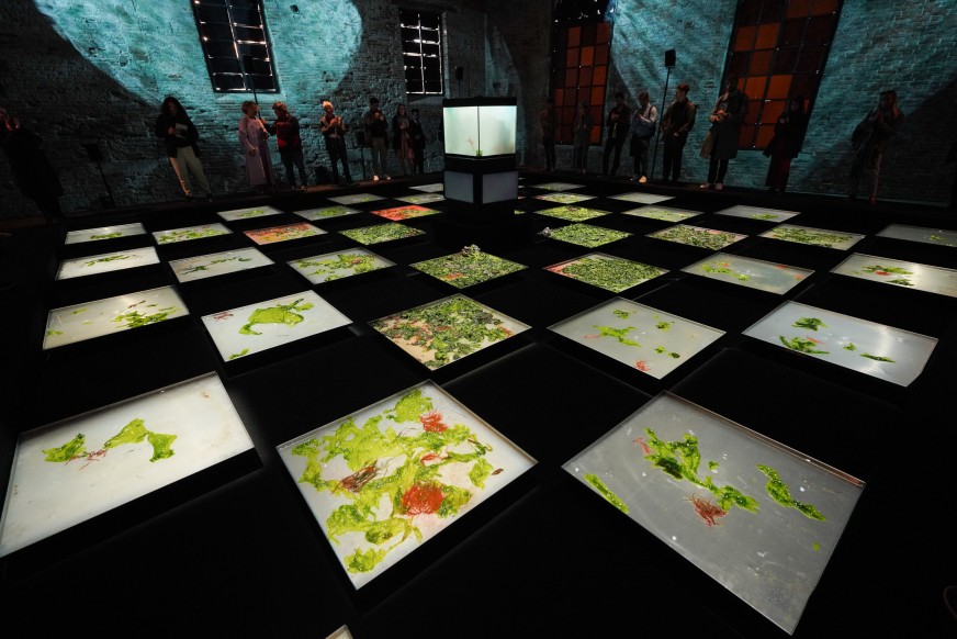 Lucia Ronchetti: BIENNALE MUSICA 2023-MICRO-MUSIC- SALA D’ARMI A-ALBERTO ANHAUS - COLONIZATION-SEA INVASION