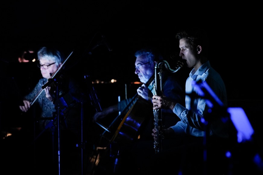 Lucia Ronchetti: BIENNALE MUSICA 2023-MICRO-MUSIC- BIENNALE LIBRARY-FAUSTO ROMITELLI’S PROFESSOR BAD TRIP
